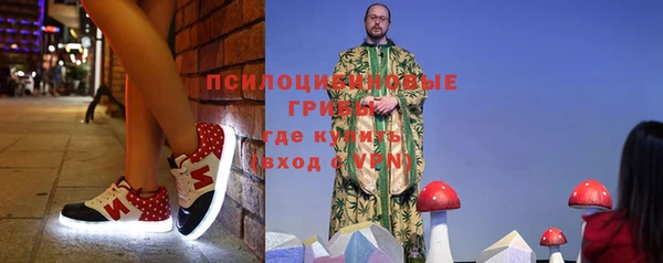 спиды Арсеньев